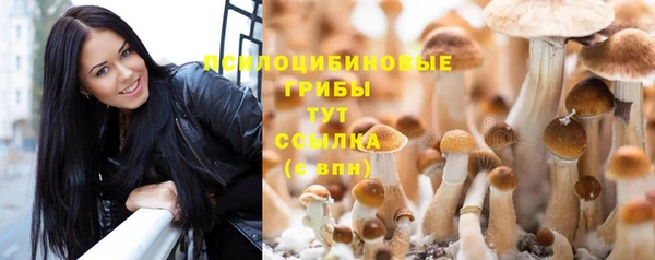 амф Балабаново