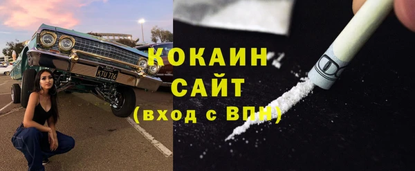 гидра Алагир