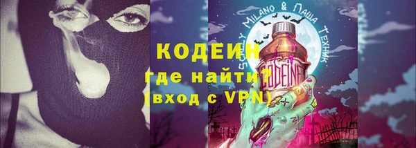 шишки Бердск