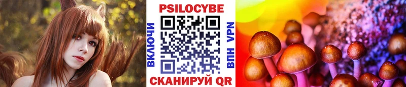 цена наркотик  Белый  Псилоцибиновые грибы Cubensis 